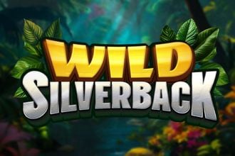 Wild Silverback